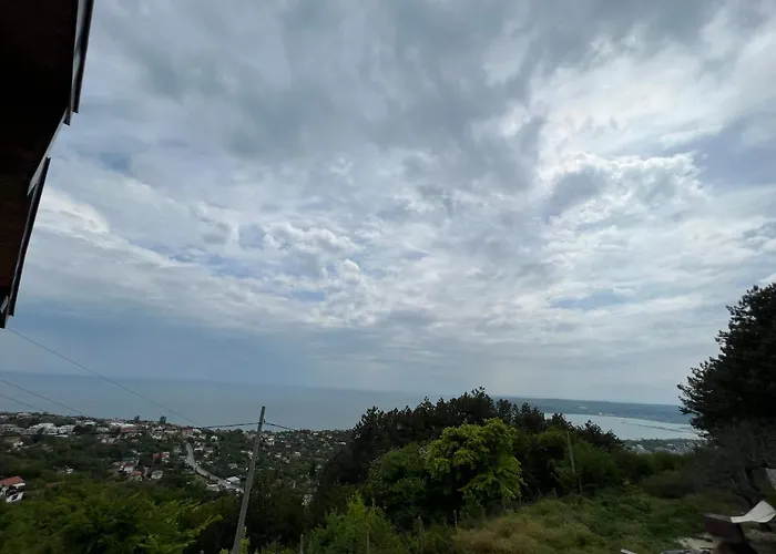 вилекула Варна